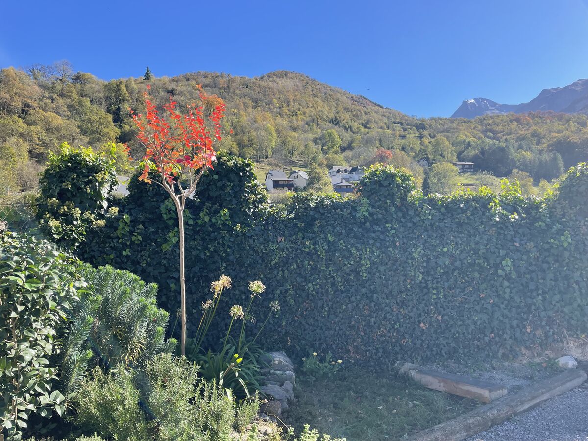 Vue sur les montagnes